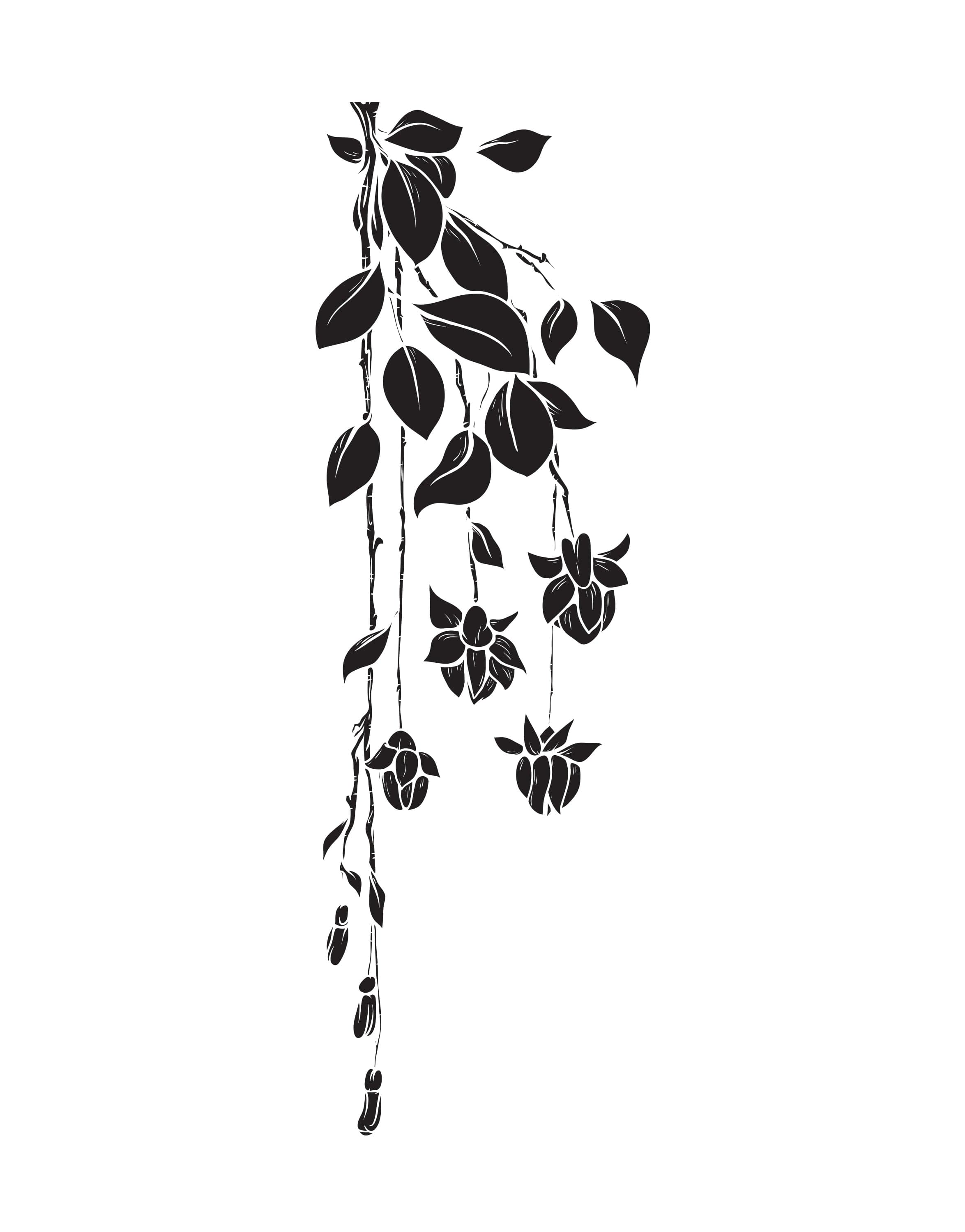 Hanging Flower Vines Vinyl Wall Decal Sticker. #1016