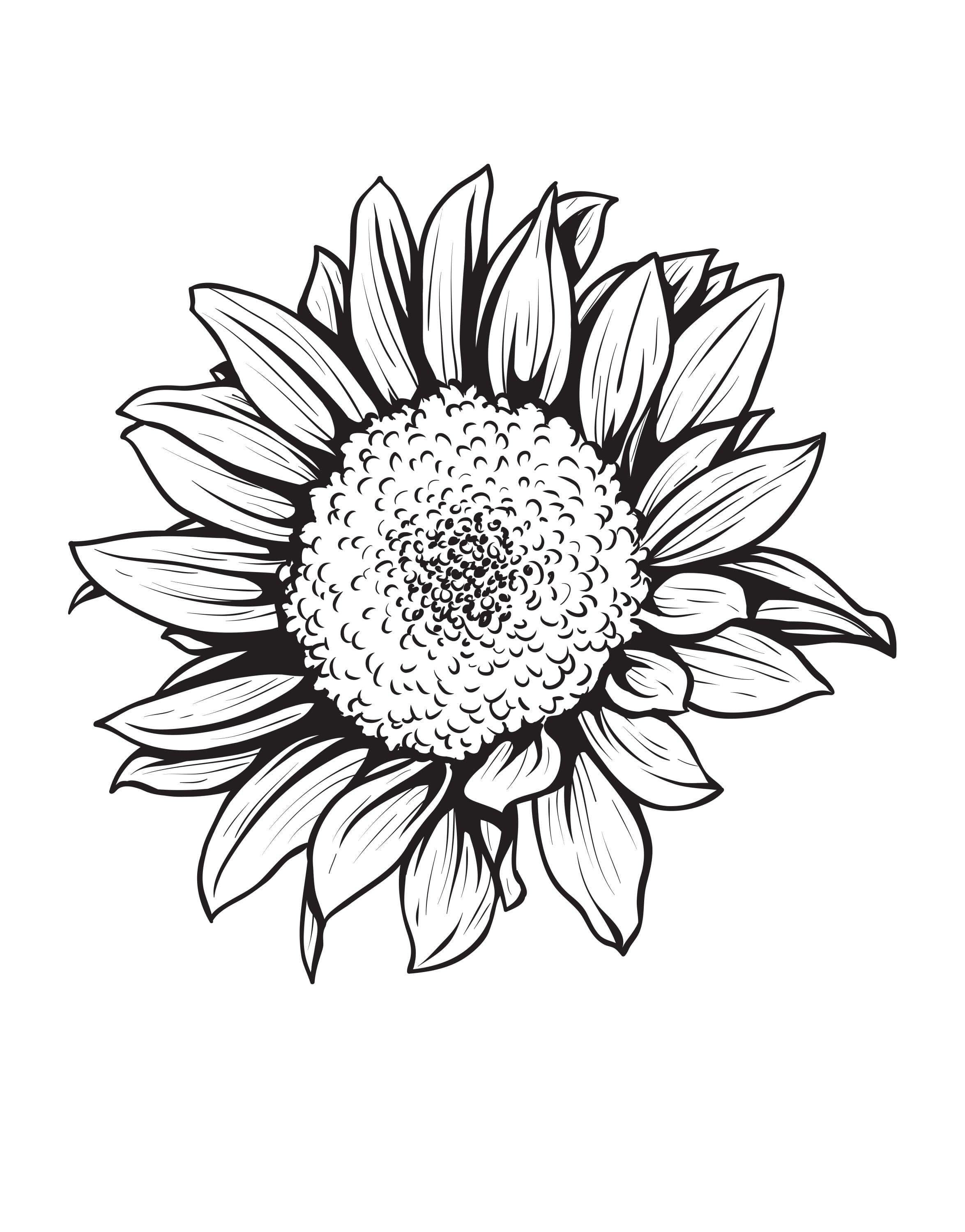 Sunflower decals deals