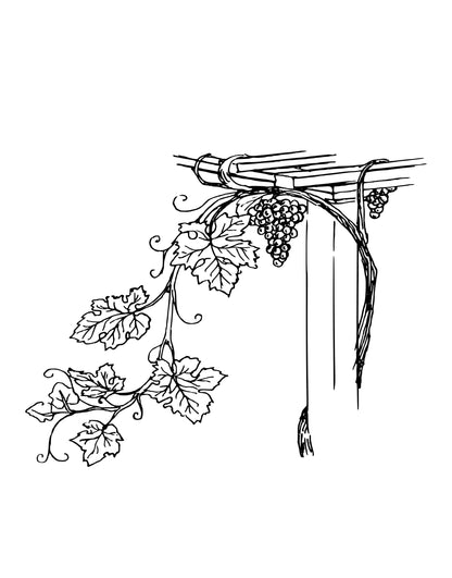 Grape Vine Floral Vinyl Wall Decal Sticker for the Kitchen. #276