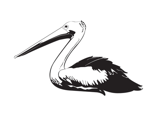 Pelican Wall Decal. #469