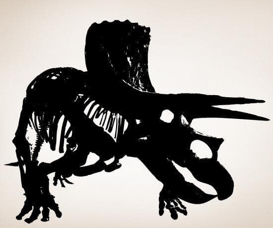 Dinosaur Triceratops Vinyl Wall Decal Sticker.#MMartin149