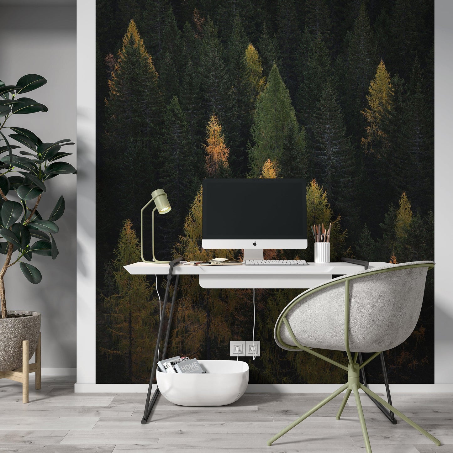 Enchanted Forest Tree Woodland Peel and Stick Wallpaper | Removable Wall Mural #6203
