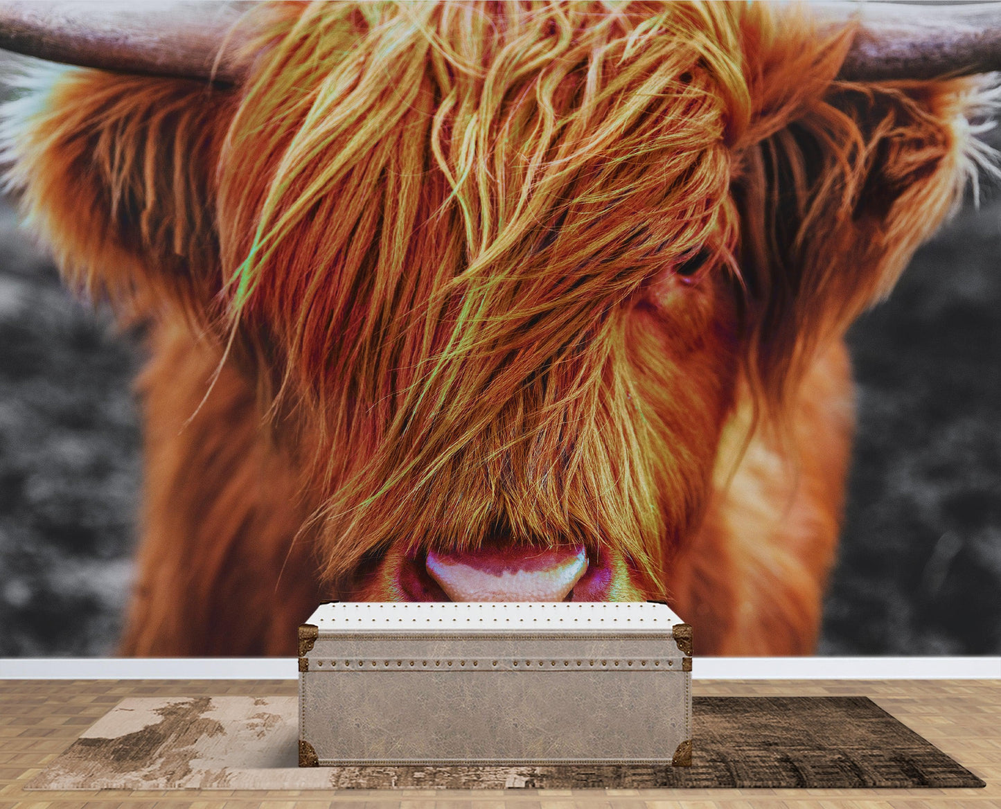 Highland Cow Cattle Head Wall Mural - Farmhouse Charm for Your Home. #6279