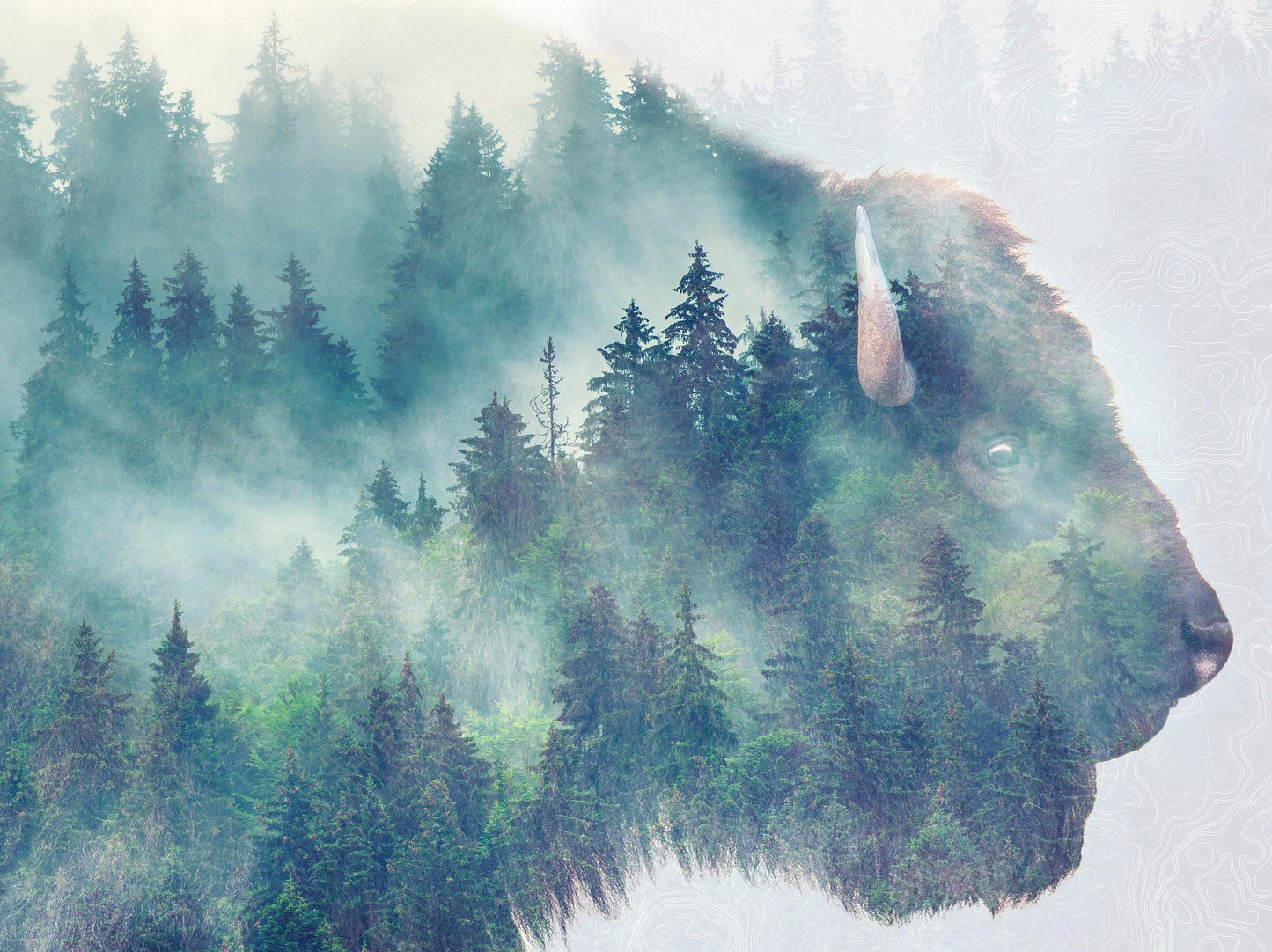 Painted Watercolor Foggy Forest Sticker
