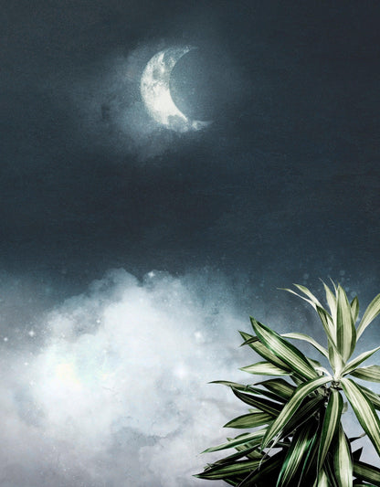 Crescent Moon Shining Over Misty Clouds Wall Mural. Peel and Stick Wallpaper. #6301