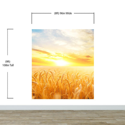 Sunset Sunrise over Farmland Wheat Field Wall Mural. Peel and Stick Wall Paper. #6323