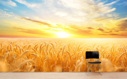 Sunset Sunrise over Farmland Wheat Field Wall Mural. Peel and Stick Wall Paper. #6323