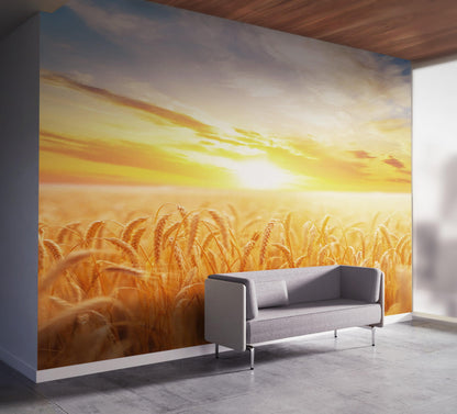 Sunset Sunrise over Farmland Wheat Field Wall Mural. Peel and Stick Wall Paper. #6323