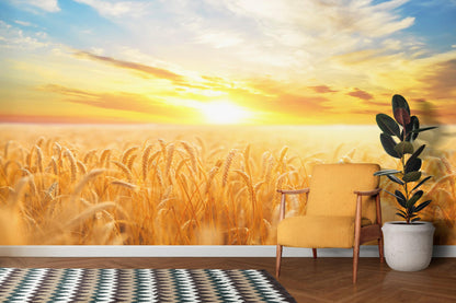 Sunset Sunrise over Farmland Wheat Field Wall Mural. Peel and Stick Wall Paper. #6323