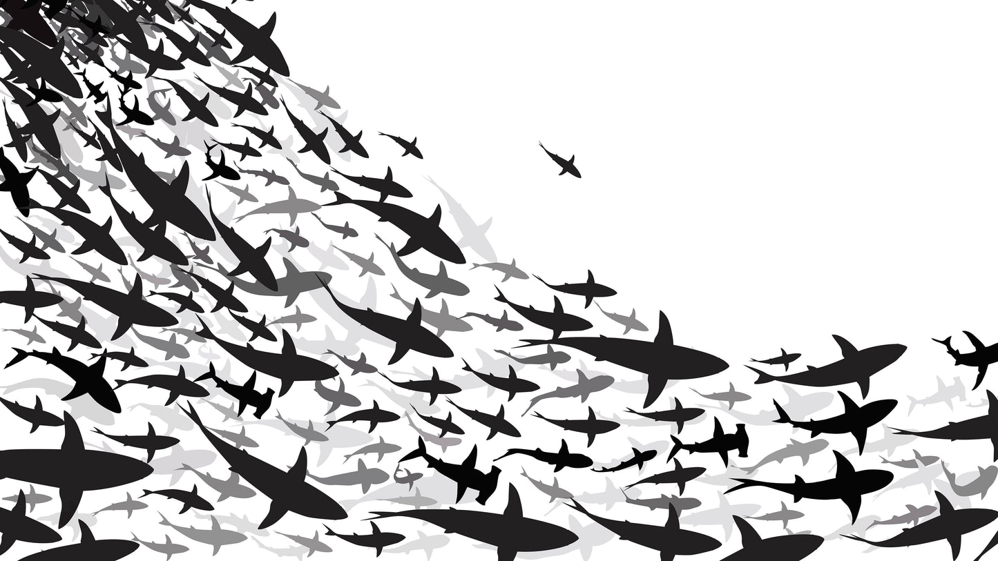 Shark Frenzy Underwater Wall Mural. Peel and Stick Wallpaper. Black and White Shark Silhouettes  #6347