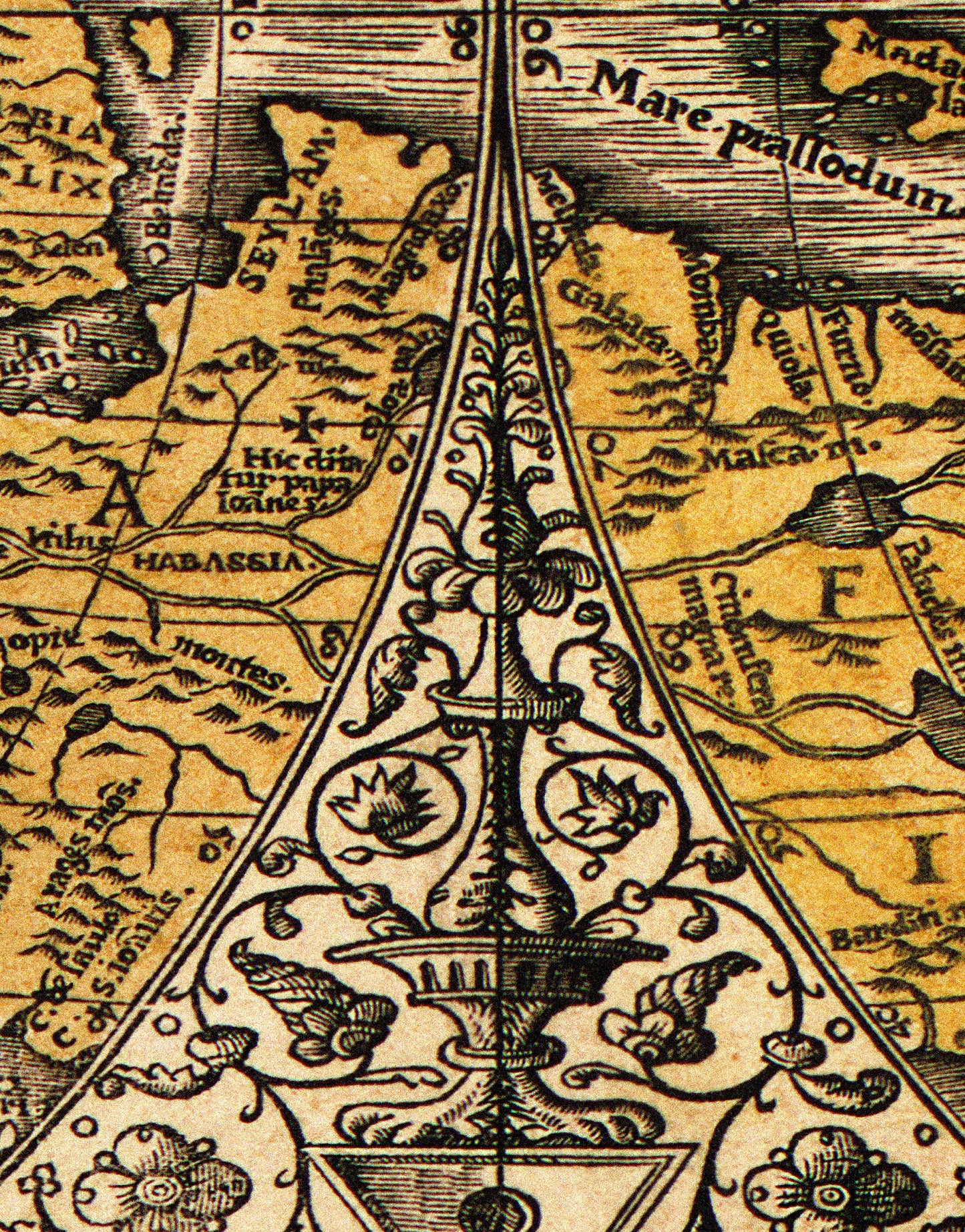 Vintage Antique World Map Wall Mural. Noua, et integra uniuersi orbis descriptio (1531) by Oronce Finé. #6352