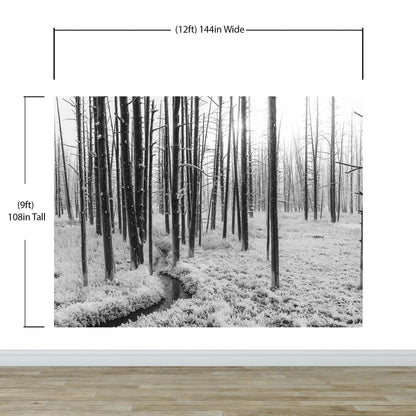 Black and White Forest Landscape Wall Mural. Peel and Stick Wallpaper. #6365