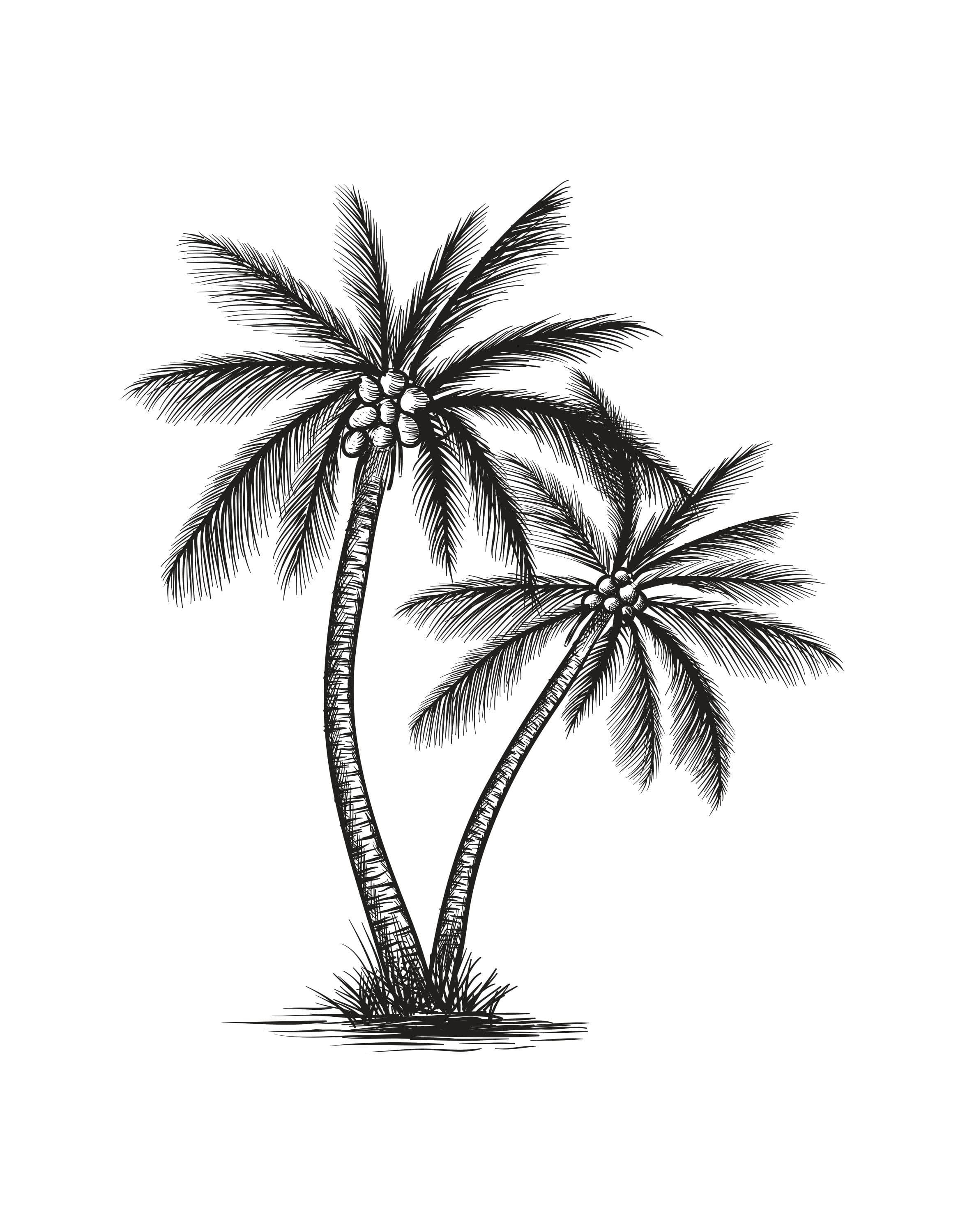 Tropical Paradise: A Beach and Hut Resort Print with Four Coconut Tree