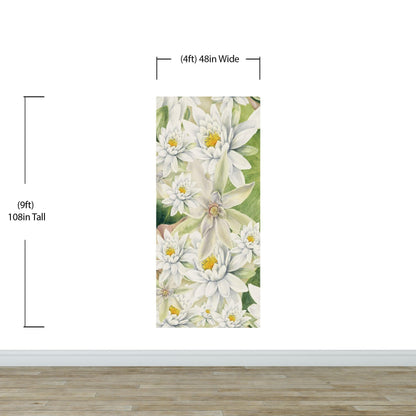 Botanical Flower Wall Mural. Color Pencil Artwork of Flower Garden Peel and Stick Wallpaper. Paradise Botanical Flowers and Leave Black Background. #6426