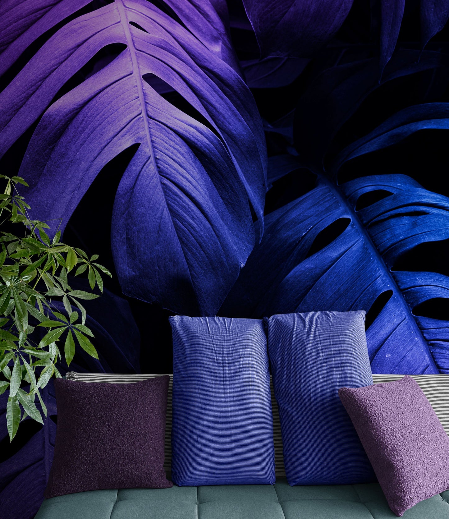 Tropical Wallpaper Blue and Purple Leaf Wall Mural on Dark Background #6445