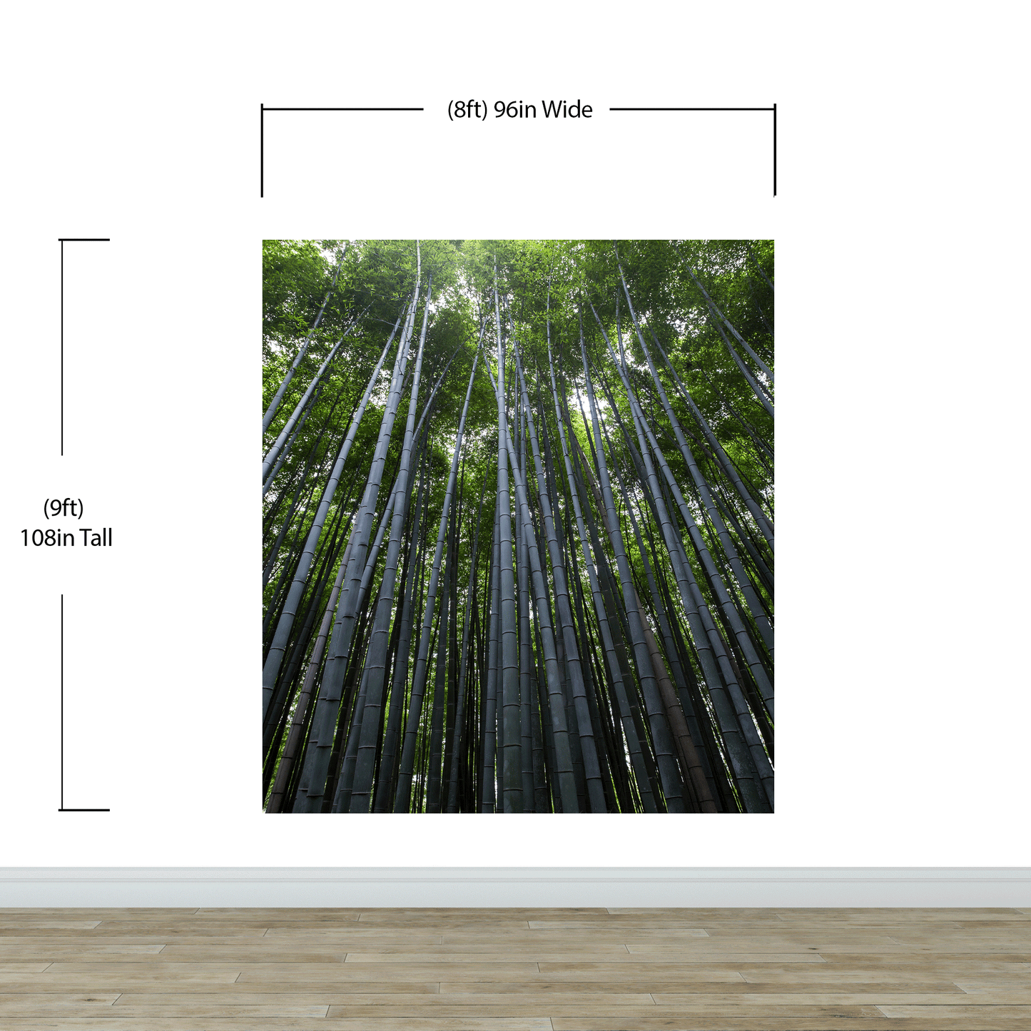 Tall Bamboo Tree Forest Wall Mural. Peaceful, Serenity, Zen Background Wallpaper. #6463