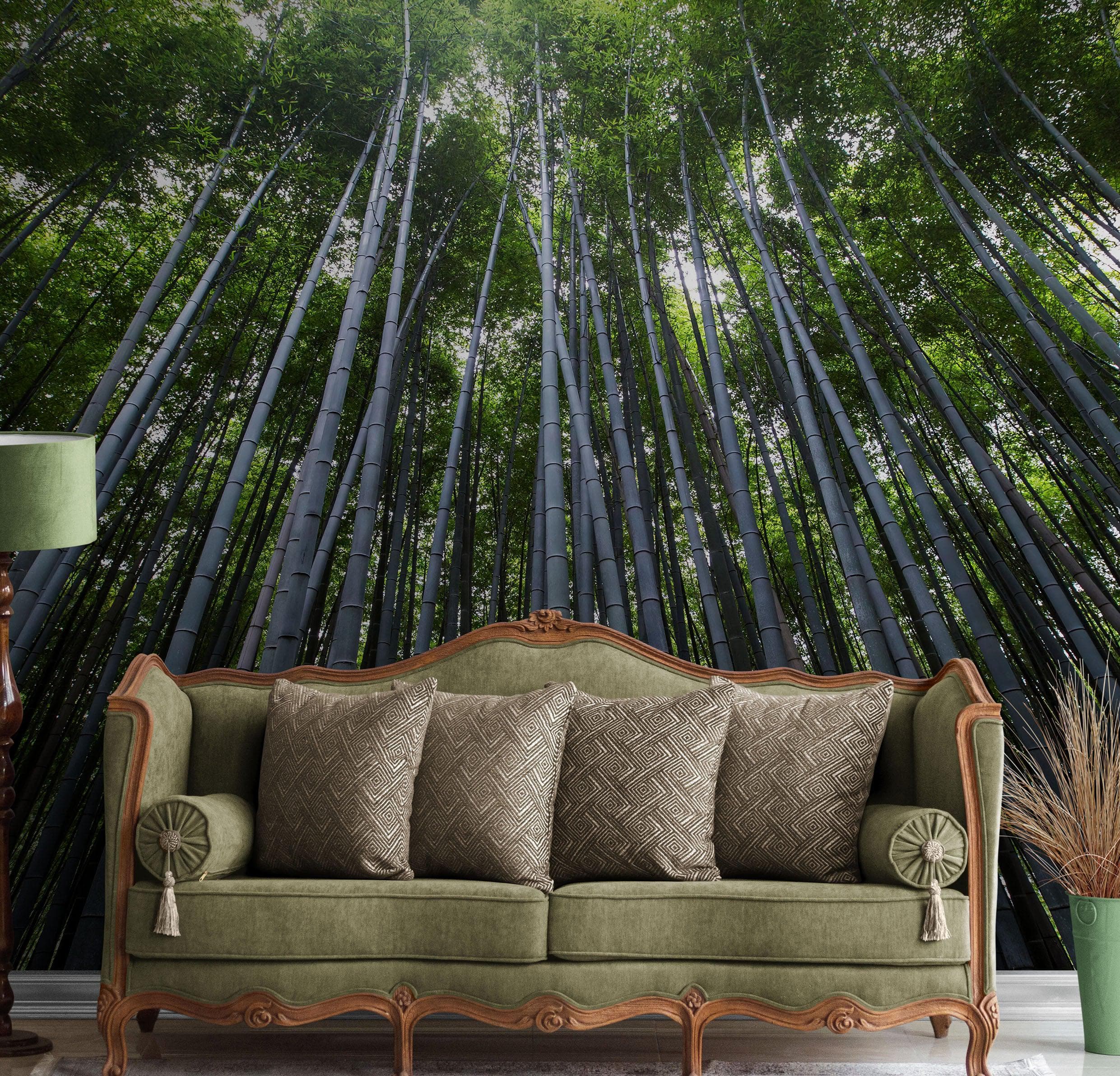 Minimalist Bamboo Wallpapers - Top Free Minimalist Bamboo Backgrounds -  WallpaperAccess