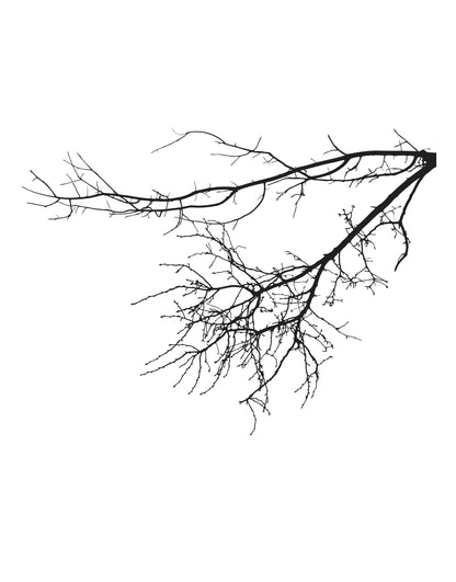 Hanging Bare Tree Branches Vinyl Wall Decal Sticker. #763