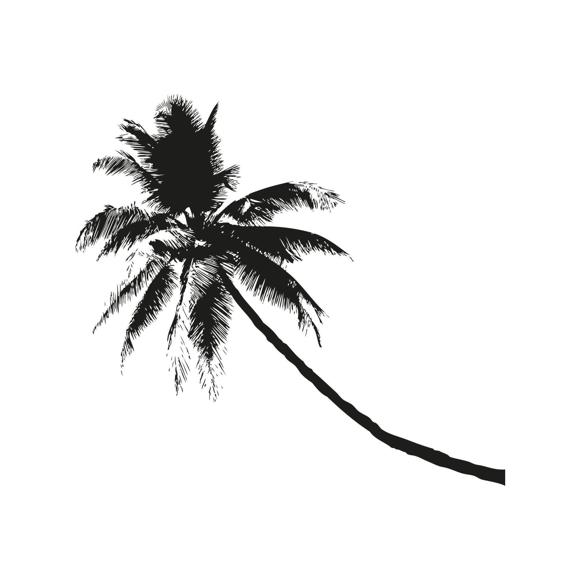 A black coconut tree decal on a white background.