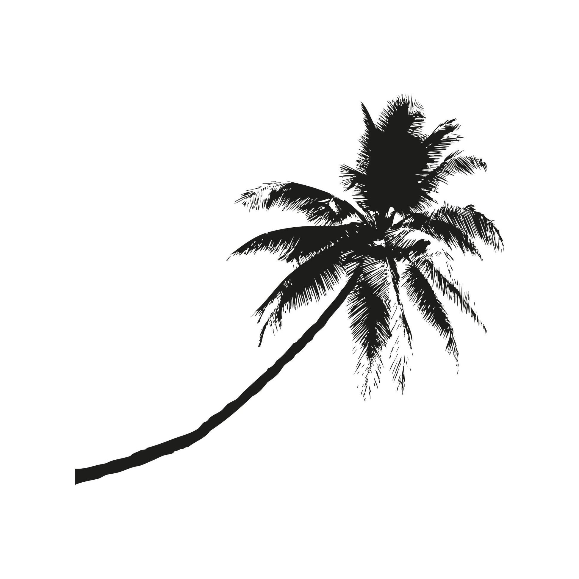 A black coconut tree decal on a white background.