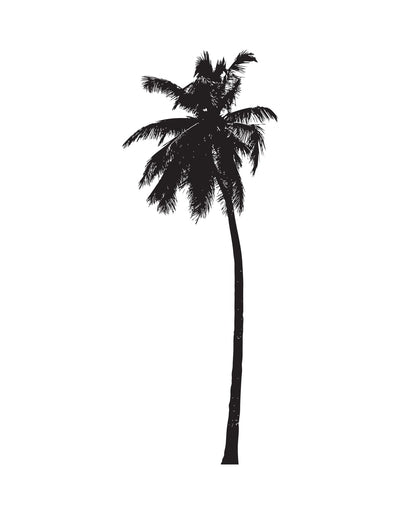 Vinyl Wall Decal Sticker Tropical Palm Tree #803