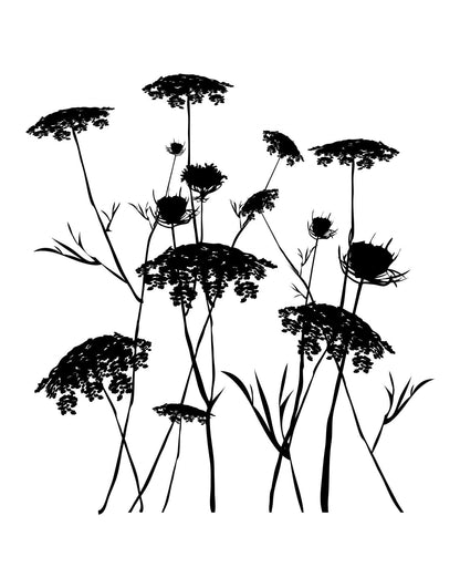 Queen Anne's Lace Flower Wall Decal. #AC218