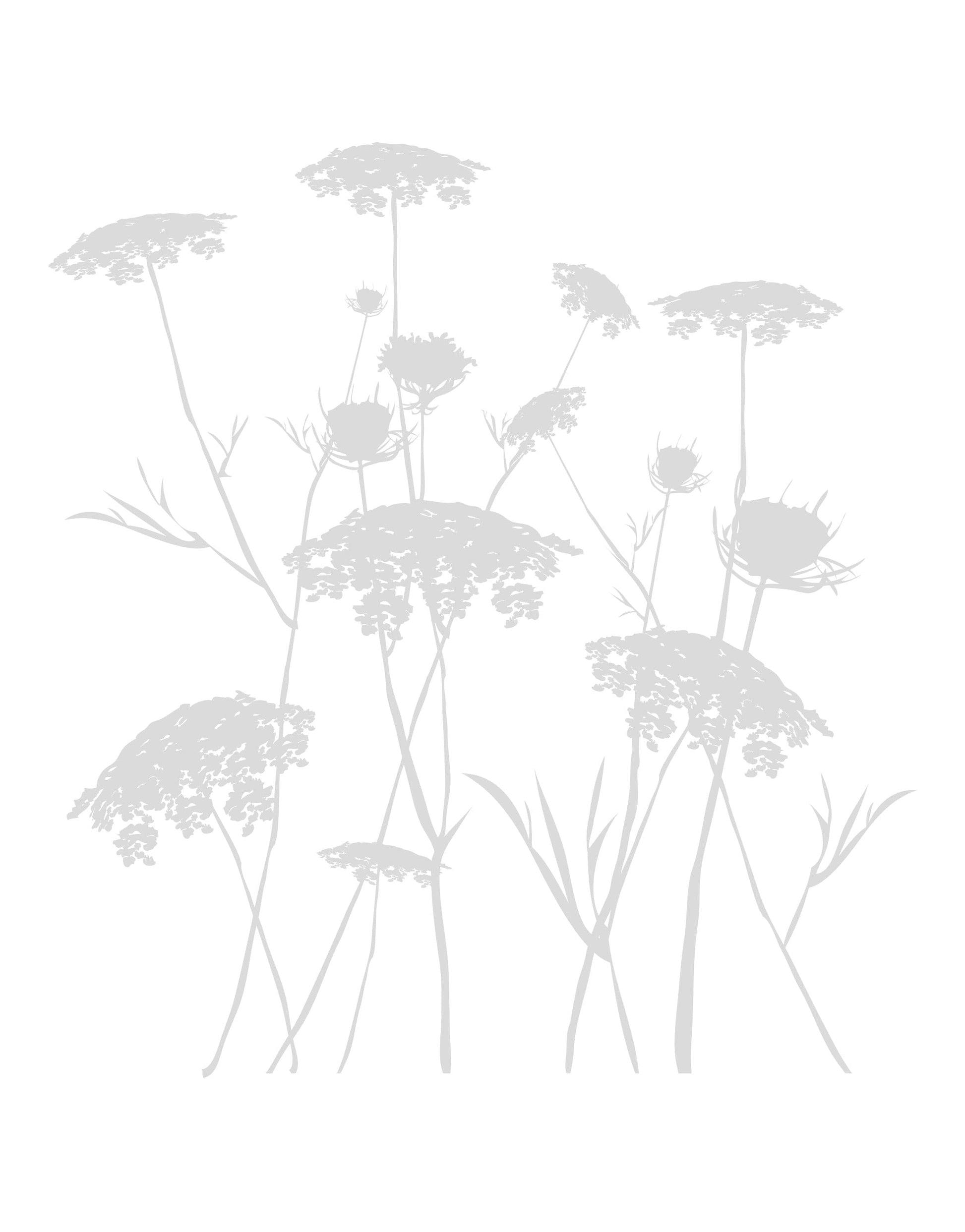 Queen Anne\'s Lace Flower Wall – Decal. #AC218 StickerBrand