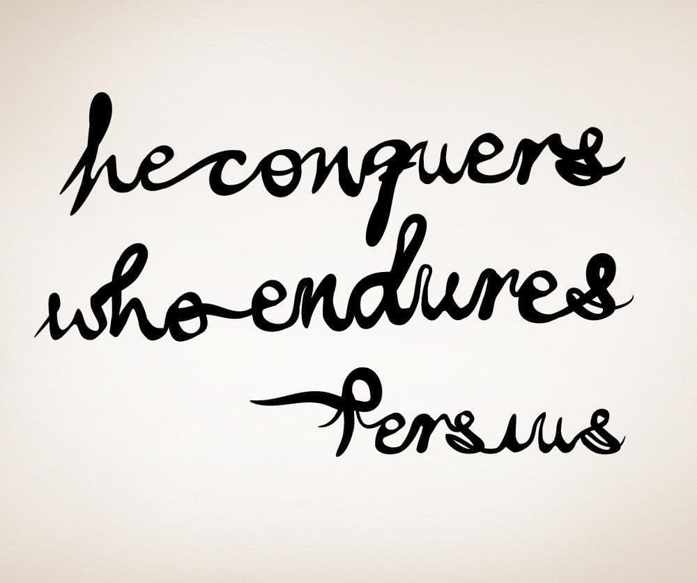Vinyl Wall Decal Sticker Persius Quote #OS_MB281