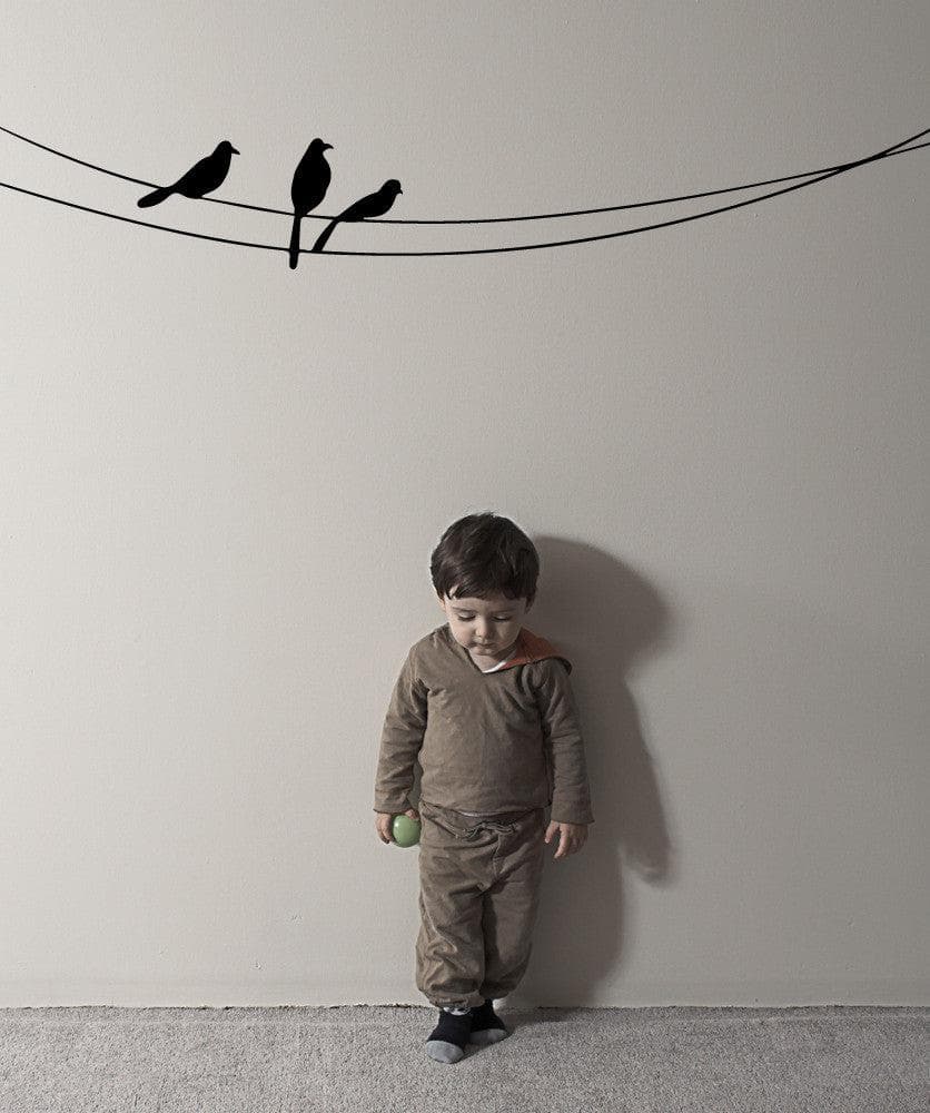 Vinyl Wall Decal Sticker Birds on the Wire #OS_MB509