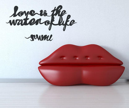 Vinyl Wall Decal Sticker Love is the Water of Life #OS_MB283