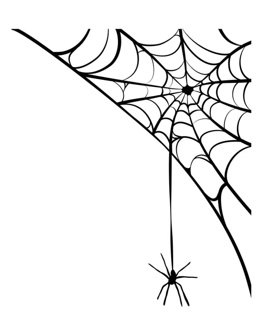 Spider Hanging From Web Vinyl Wall Decal Sticker. #OS_MB302