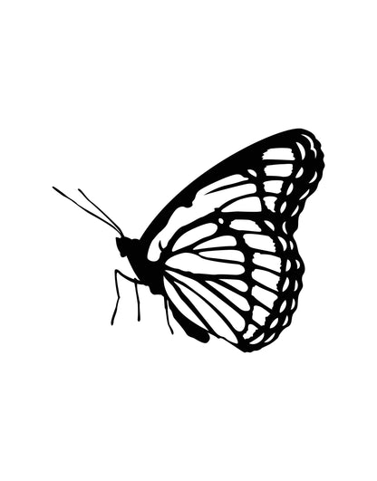 Monarch Butterfly Vinyl Wall Decal Sticker. #OS_MB441
