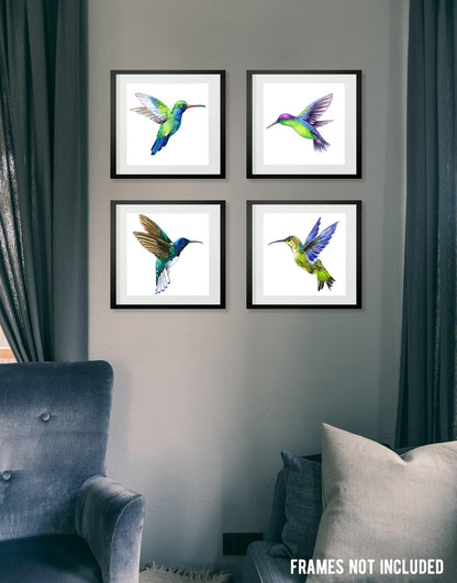 Hummingbird Posters (set of 4) Unframed. Great wall decor for Nursery Room, Bedroom, Bathroom, Kitchen, Living Room, or Dinning Room. #P1004