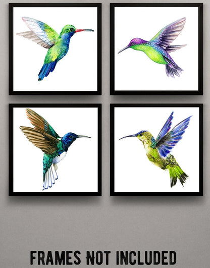 Hummingbird Posters (set of 4) Unframed. Great wall decor for Nursery Room, Bedroom, Bathroom, Kitchen, Living Room, or Dinning Room. #P1004