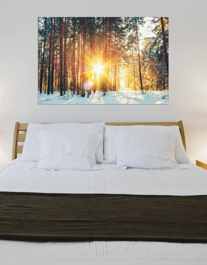 Sunrise Snow Forest Photo Print. #P1018
