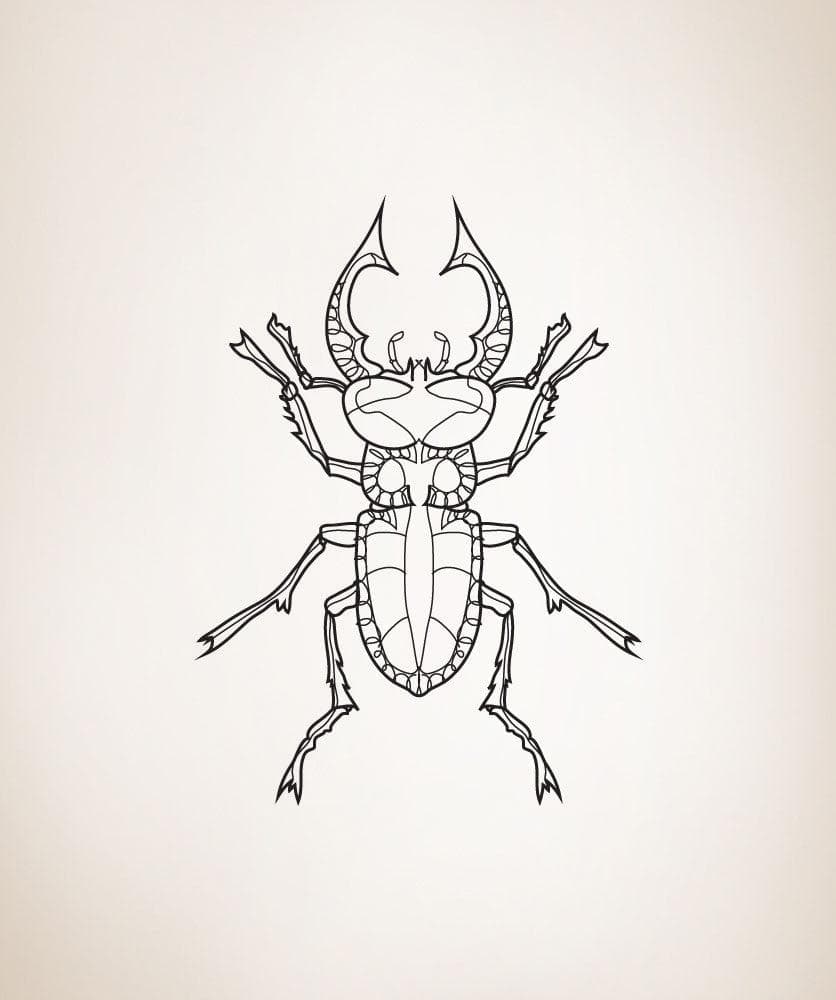 Vinyl Wall Decal Sticker Bug #OS_DC213