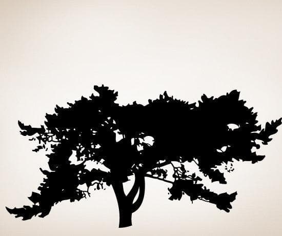 Vinyl Wall Decal Large African Tree #SIrwin105